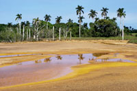 Cuba
