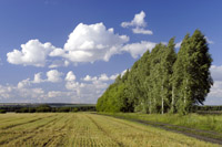 Nowo Ichsanovo